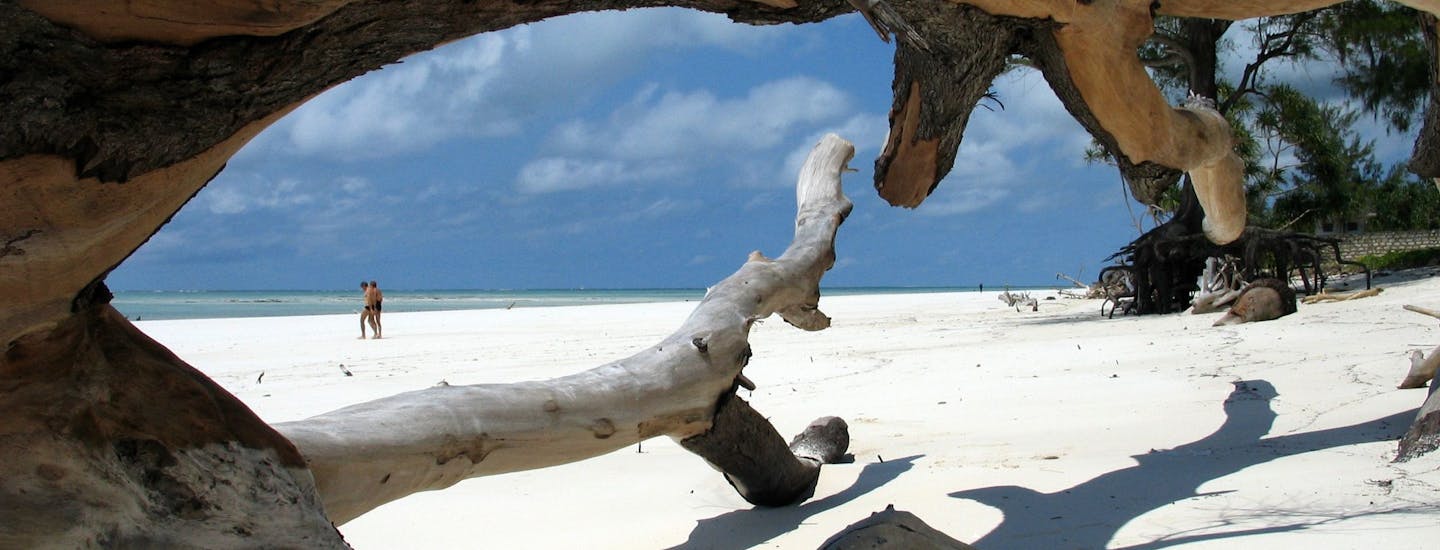 træstamme på strand i Kenya