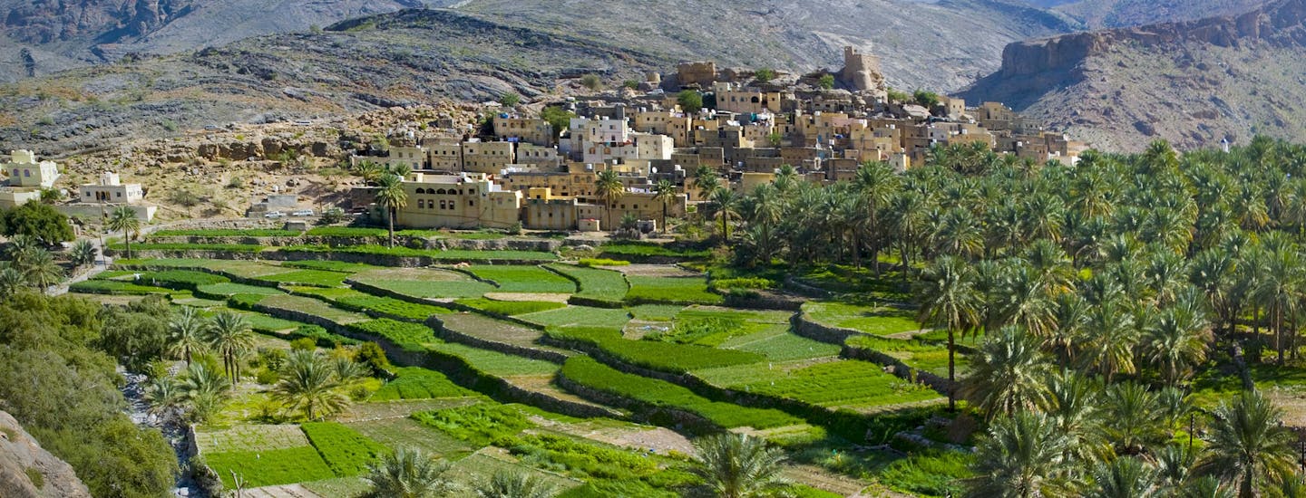 Frodig landskap i Oman