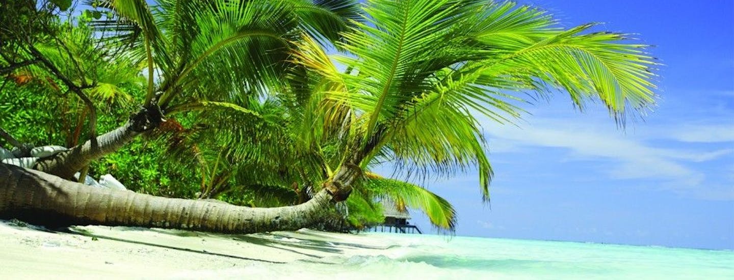 Meeru Island Maldiverne