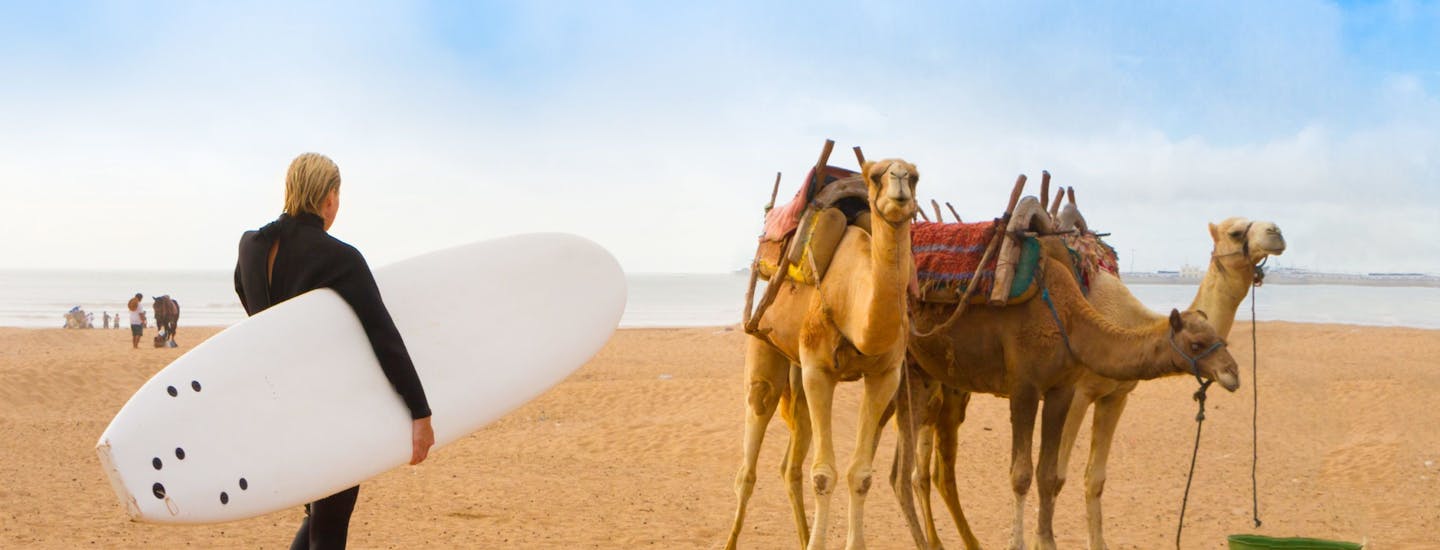 En surfer på en strand med kameler i Marokko